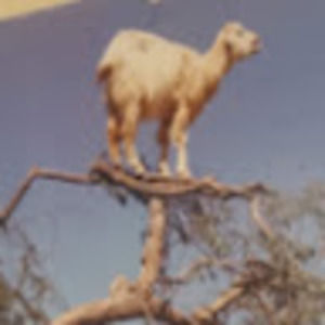 Meet your Posher, Jon